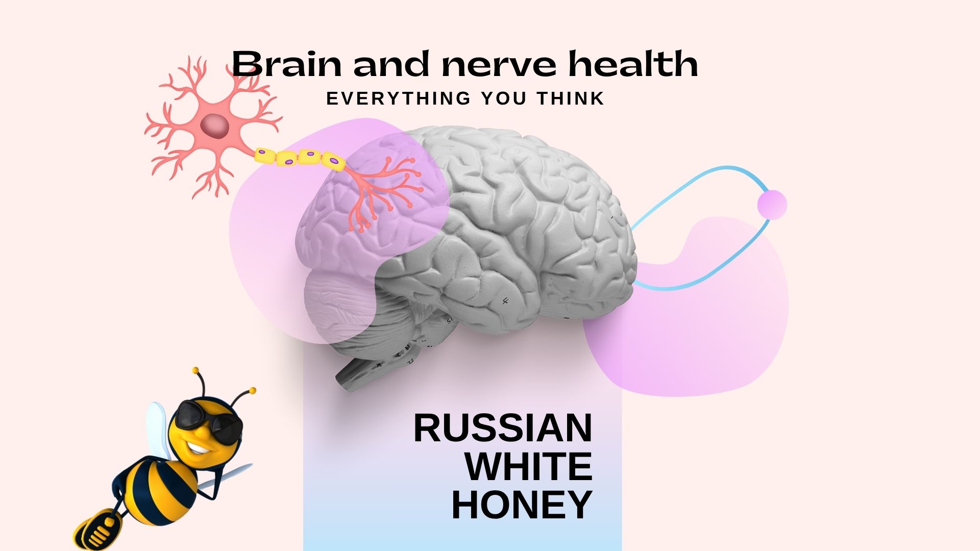 Russian White Honey and the Nervous System and Brain: Promoting Clarity and Calm