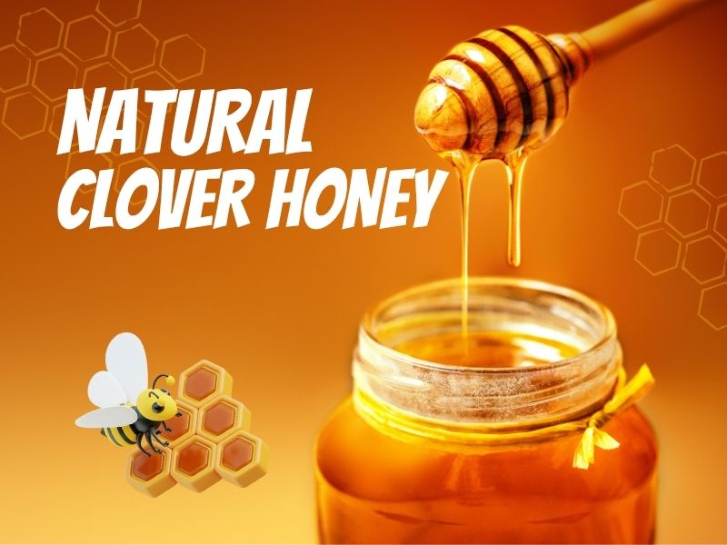 clover-HONEY